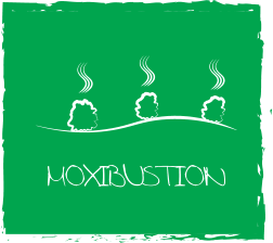 MOXIBUSTION